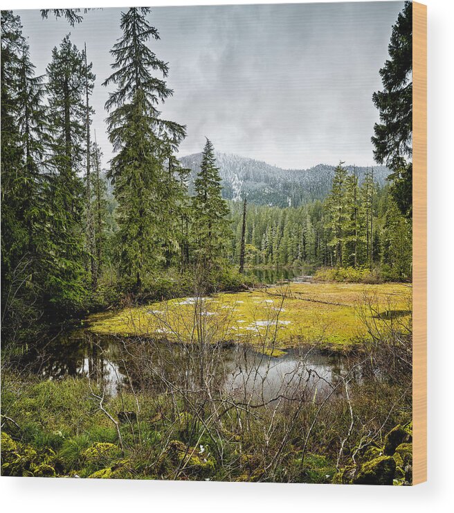 Hidden Lake Wood Print featuring the photograph No Man's Land by Belinda Greb