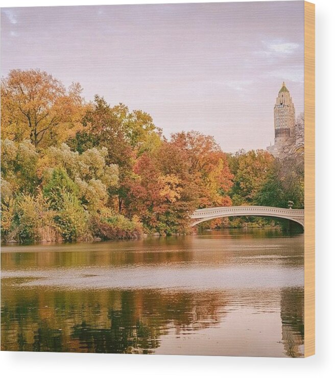  Wood Print featuring the photograph On Autumn Days When Grey Skies Brush by Vivienne Gucwa