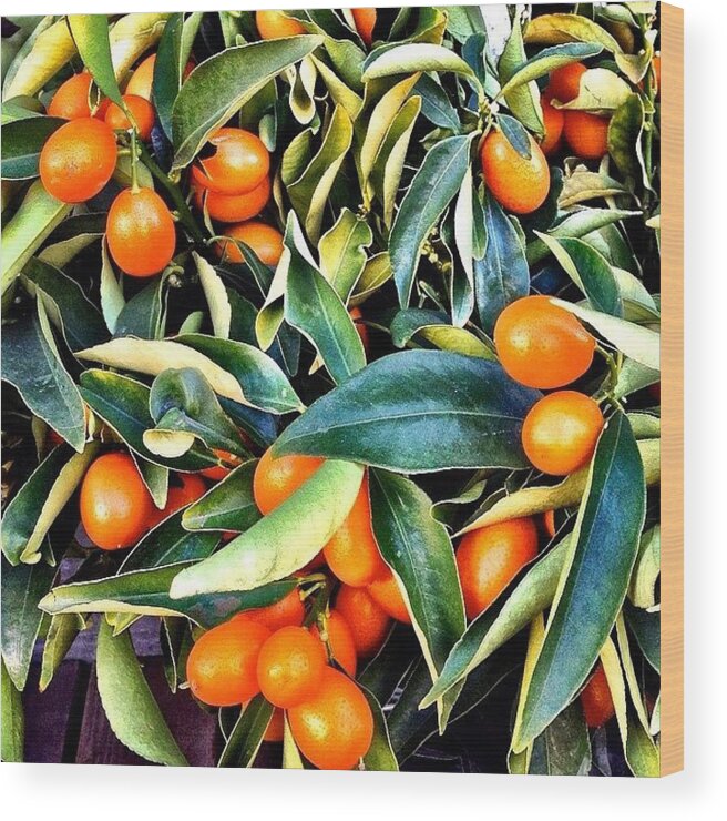 Jj_simplethings Wood Print featuring the photograph Kumquats by Julie Gebhardt