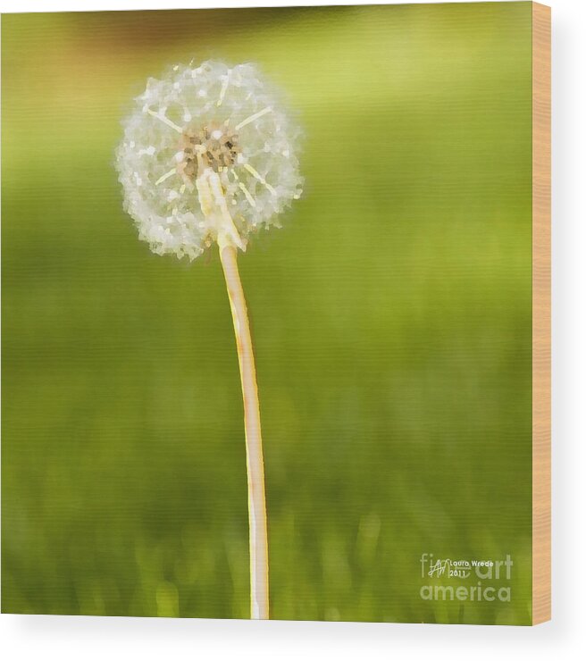 Watercolor Wood Print featuring the digital art One Wish by Artist and Photographer Laura Wrede