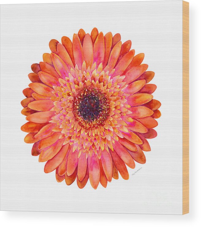 Pink Wood Print featuring the painting Orange Gerbera Daisy by Amy Kirkpatrick