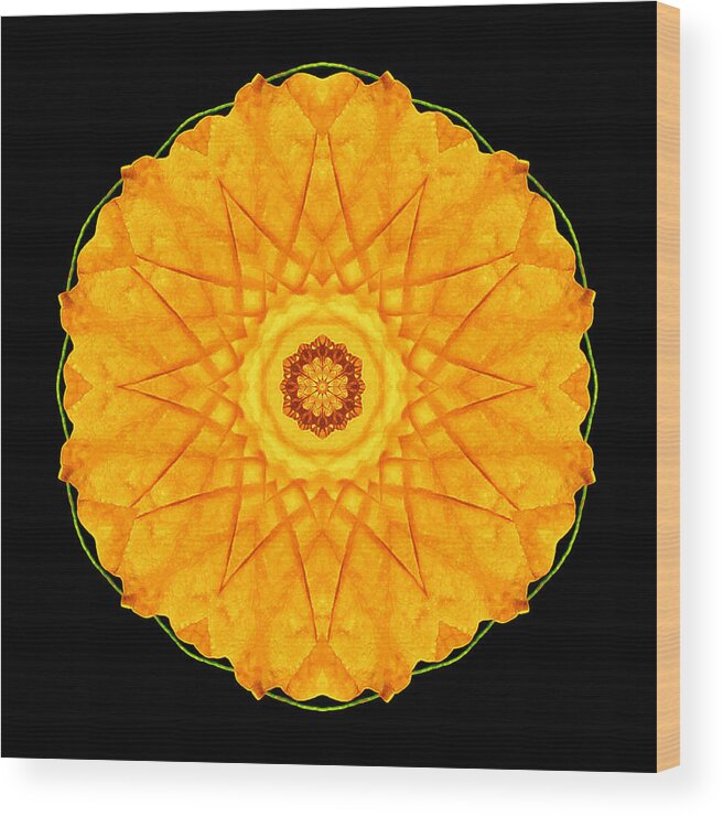 Flower Wood Print featuring the photograph Orange Nasturtium Flower Mandala by David J Bookbinder