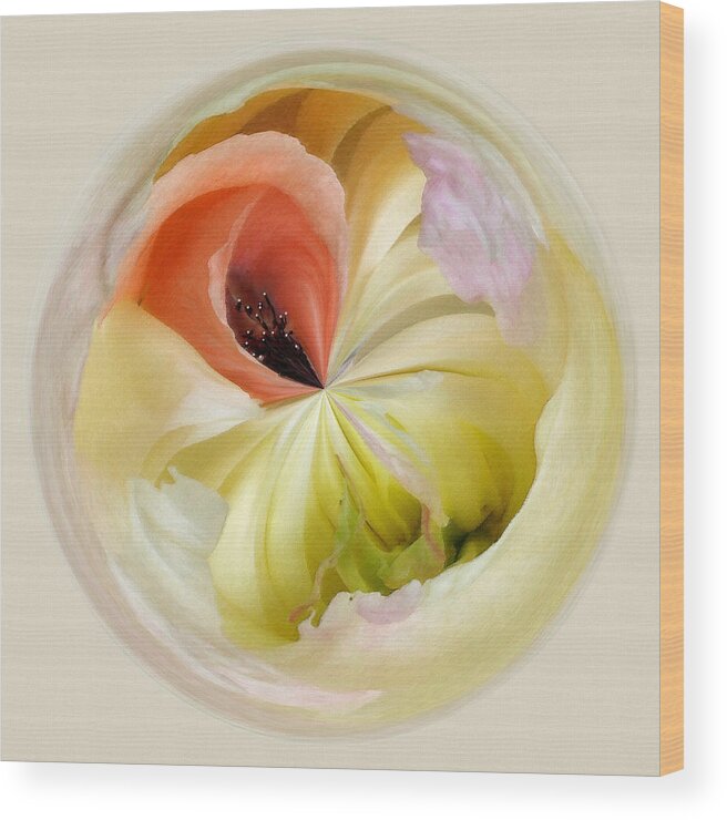 Floral Wood Print featuring the photograph Poppy meets Peony by Karen Lynch