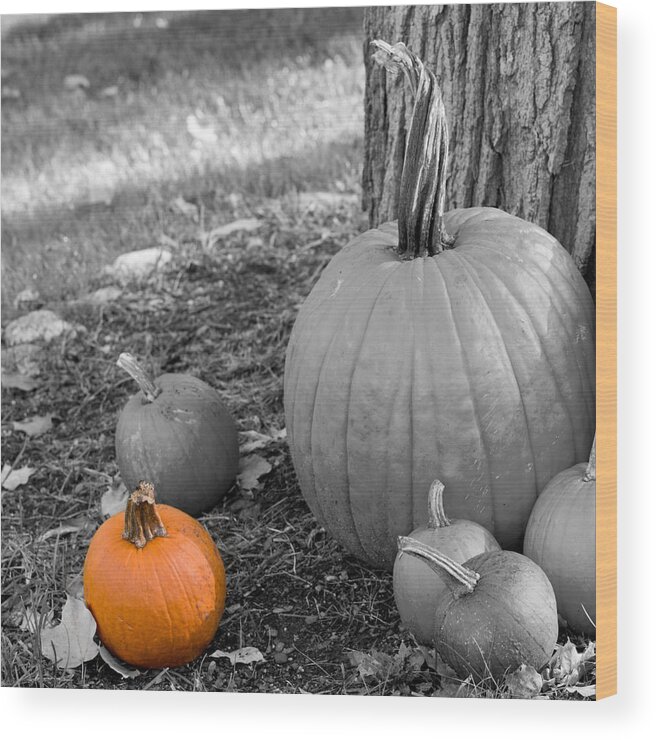 Pumpkins Wood Print featuring the photograph Outstanding by Jim DeLillo