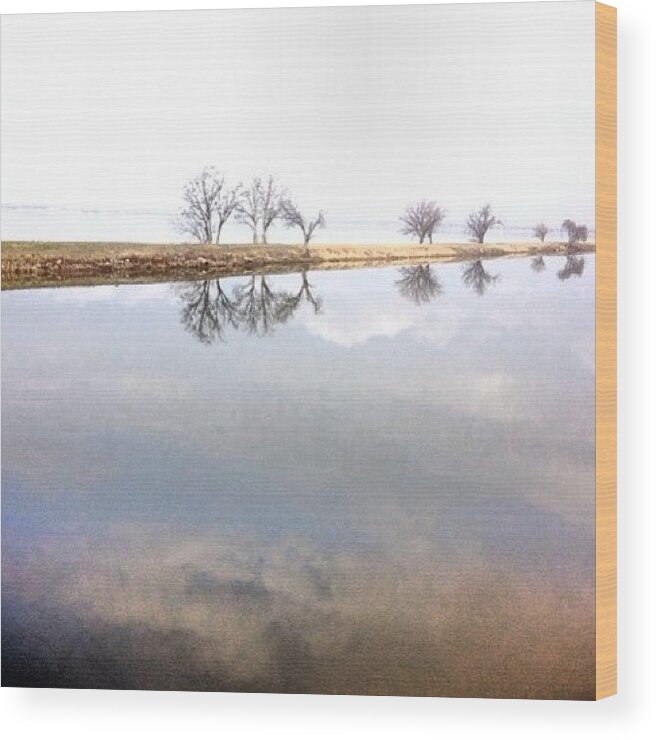 Water Wood Print featuring the photograph #overholser #reflection #water #walking by Angela Breeden