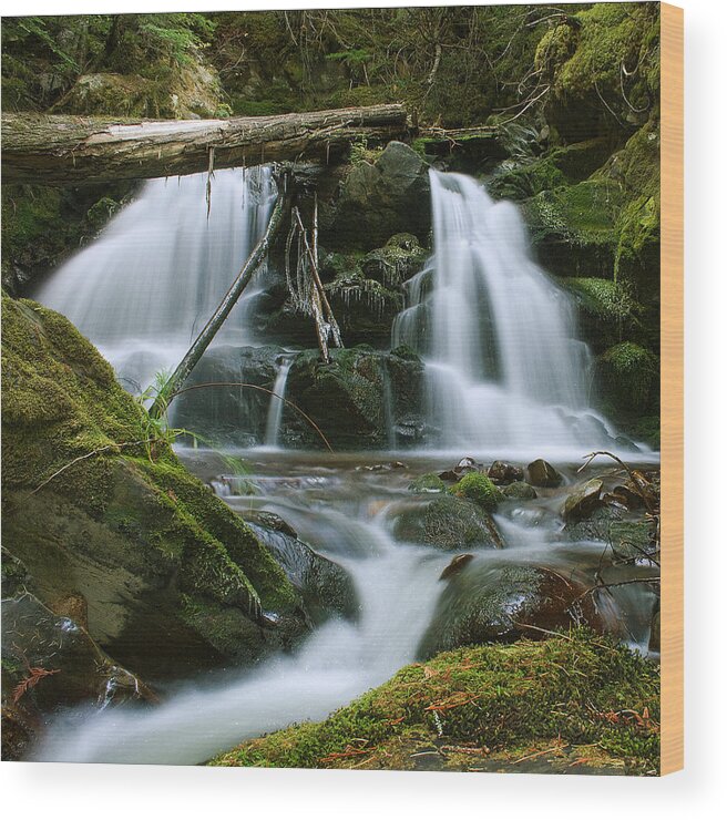 Packer Falls Wood Print featuring the photograph Packer Falls by Paul DeRocker