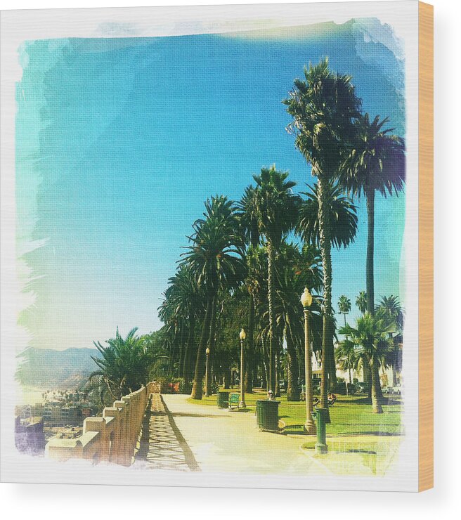 Pacific Wood Print featuring the photograph Palisades Park by Nina Prommer