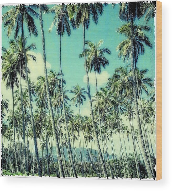 Hawaii Wood Print featuring the photograph Palm Trees by Susan Stone