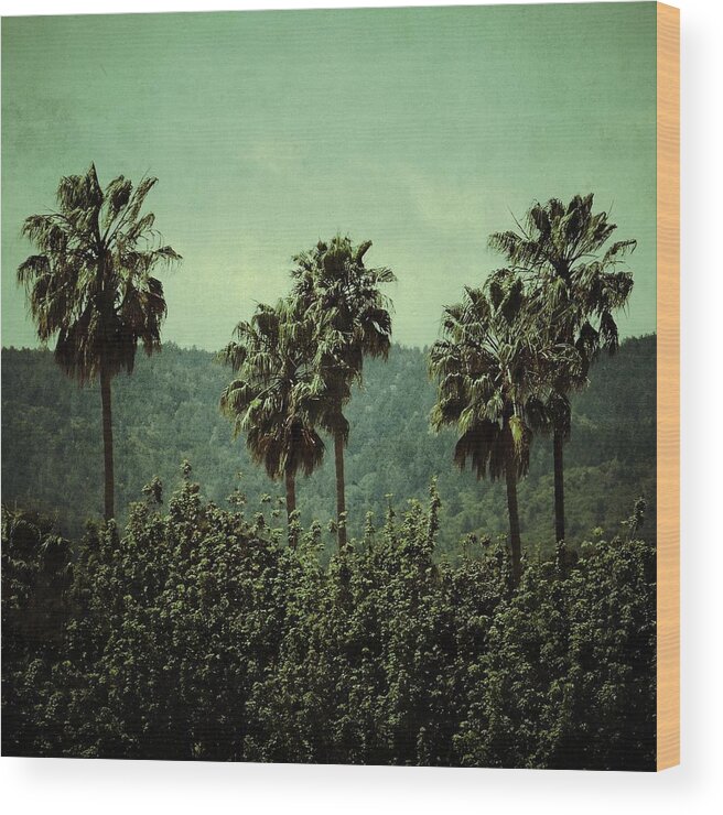 Palm Trees Wood Print featuring the photograph Palms by Anne Thurston