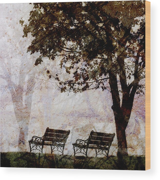 Two Wood Print featuring the photograph Park Benches Square by Carol Leigh