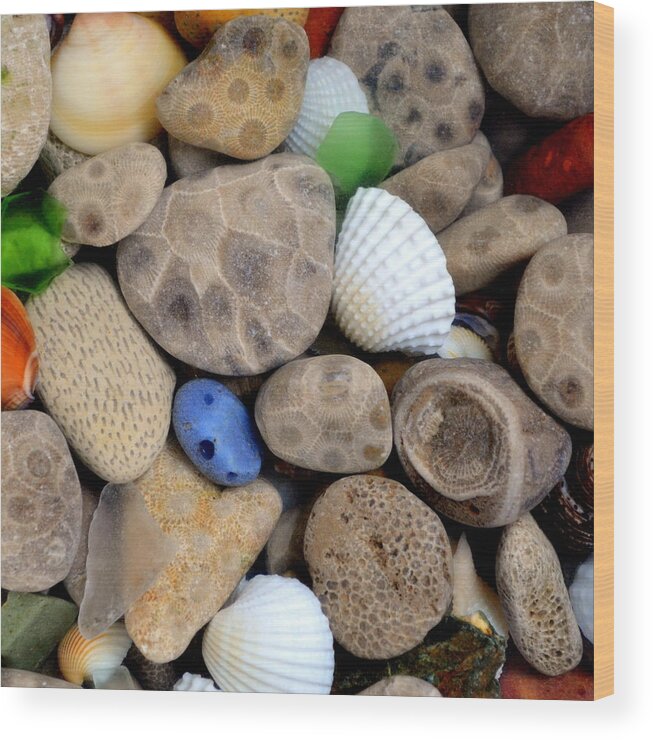 Square Wood Print featuring the photograph Petoskey Stones V by Michelle Calkins