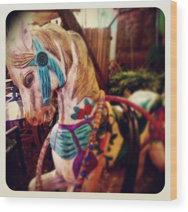 Wooden Carousel Horse Wood Print featuring the photograph Blue Heaven Carousel Horse by Dani Hoy