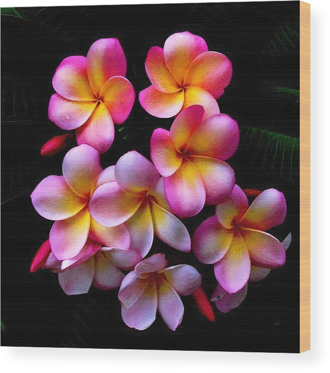Dean Wittle Wood Print featuring the painting Pink And Yellow Frangipani by Dean Wittle