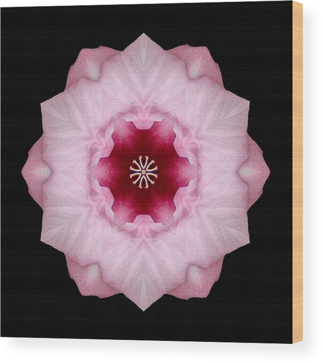 Flower Wood Print featuring the photograph Pink Hibiscus I Flower Mandala by David J Bookbinder