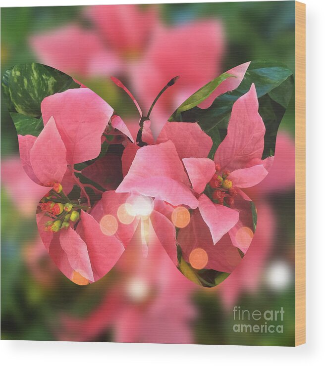 Butterfly Wood Print featuring the digital art Pink Poinsettia Butterfly by Beverly Claire Kaiya