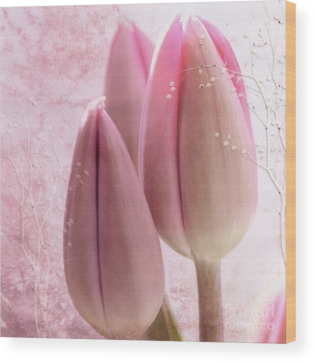 Tulips Wood Print featuring the photograph Pink Tulips by Elaine Manley