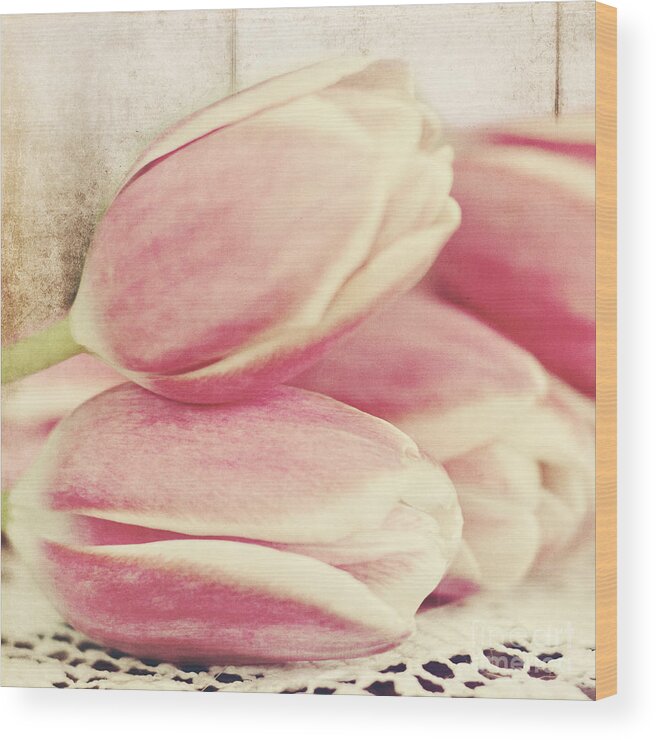 Tulips Wood Print featuring the photograph Pink Tulips by Pam Holdsworth