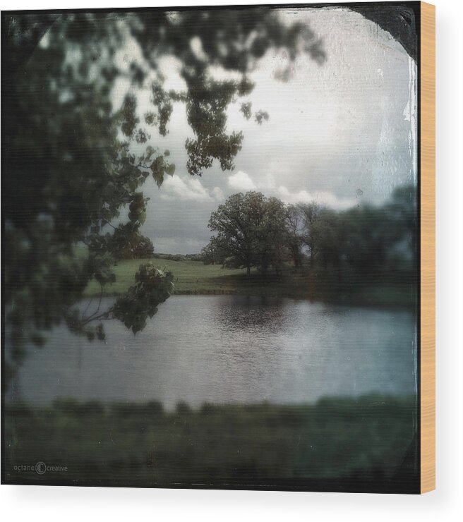 Vintage Wood Print featuring the photograph Pond On Lake Elmo Road by Tim Nyberg