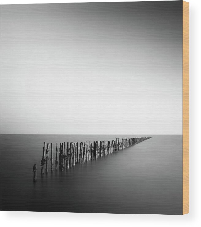 Pole Wood Print featuring the photograph Posts In Sea by Anthony Skelton