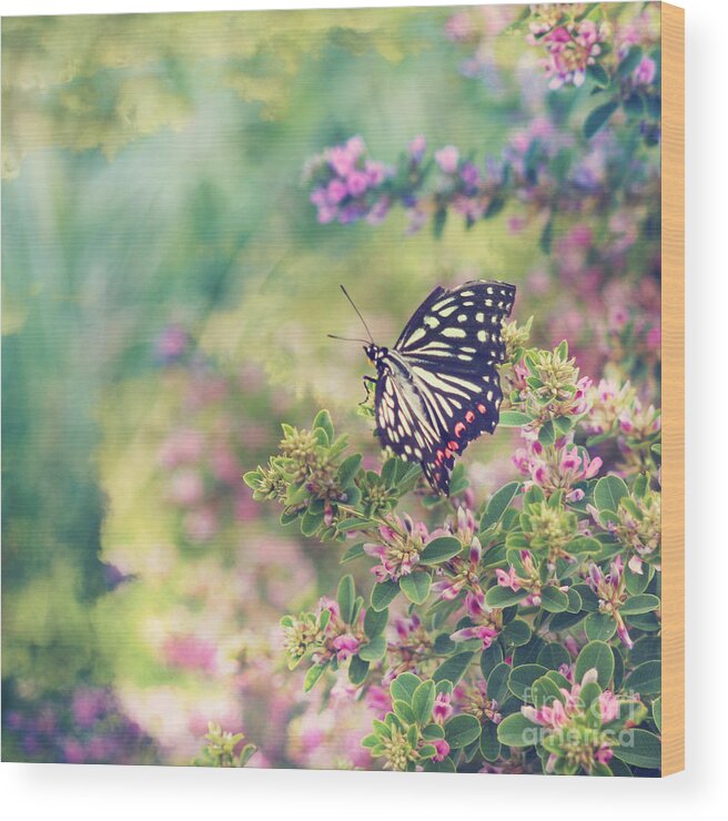 Pretty Butterfly Wood Print featuring the photograph Pretty Butterfly Orange Markings Pink Flowers Green Leaves by Beverly Claire Kaiya
