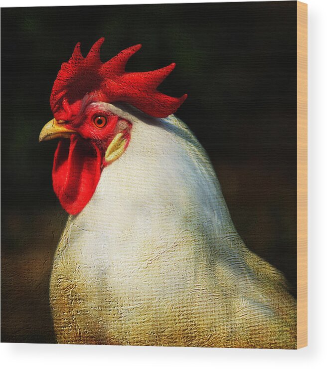 Cock Wood Print featuring the photograph Pride by Jenny Rainbow