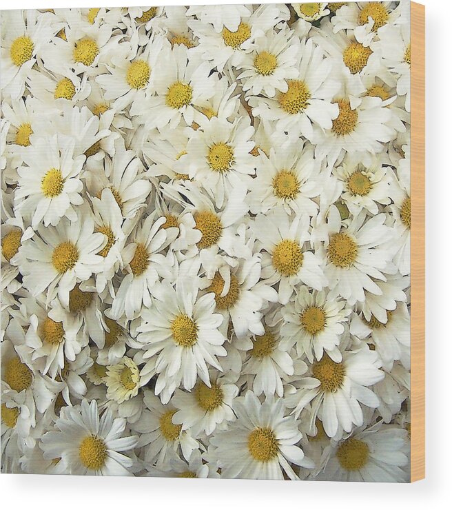 Flora Wood Print featuring the photograph Profusion White by Deborah Smith