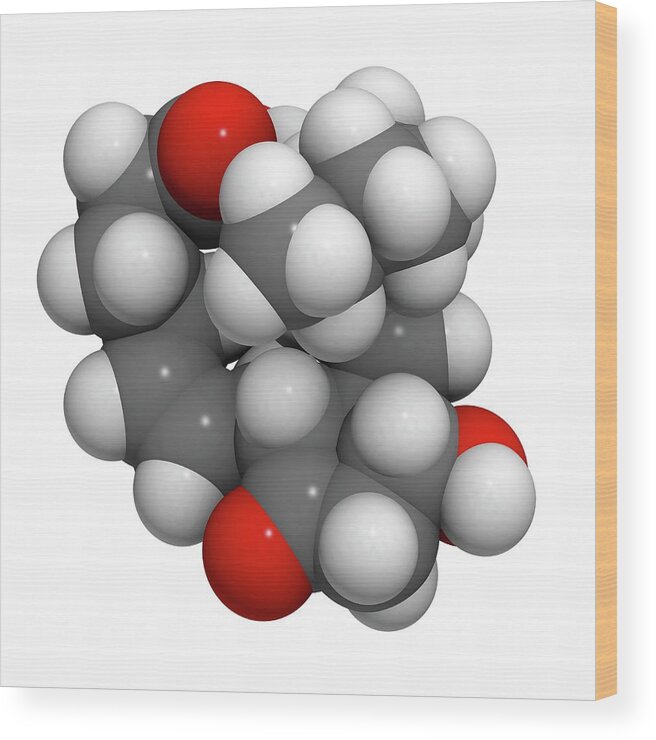 Artwork Wood Print featuring the photograph Prostaglandin E2 Uterus Stimulating Drug by Molekuul/science Photo Library