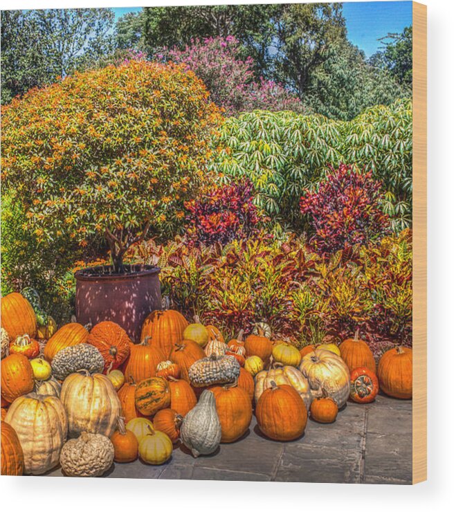 Hdr Wood Print featuring the photograph Pumpkins at the Garden by Ross Henton