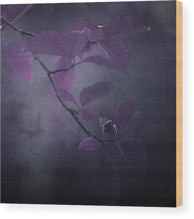 Leaves Wood Print featuring the photograph Purple Dusk by Bonnie Bruno