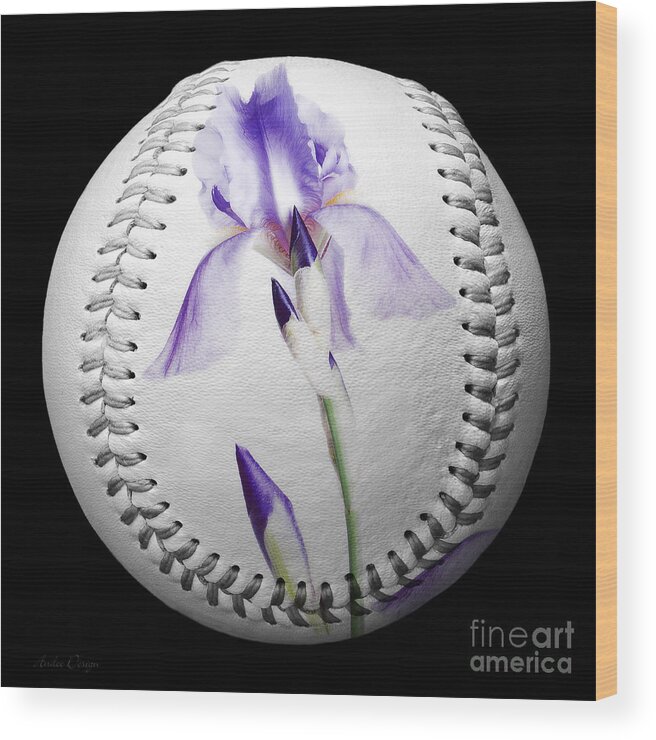 Baseball Wood Print featuring the photograph Purple Iris High Key Baseball Square by Andee Design