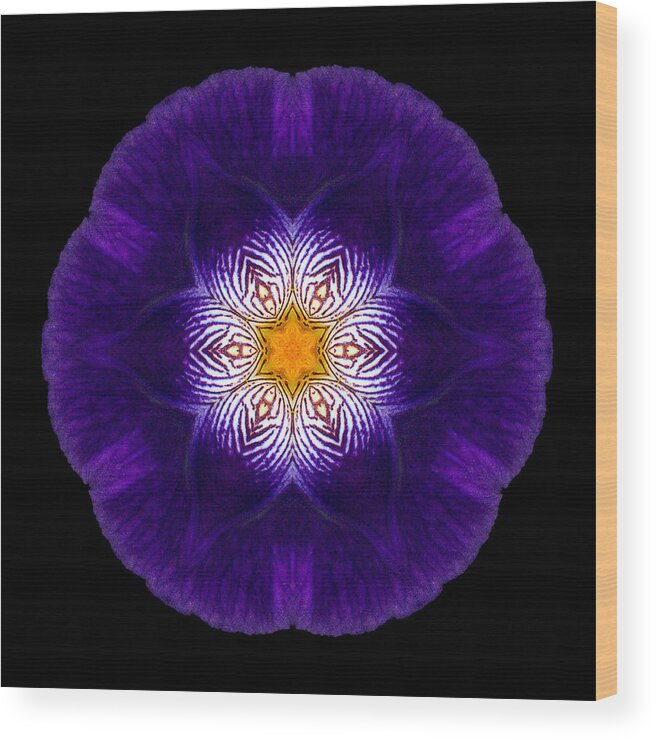 Flower Wood Print featuring the photograph Purple Iris II Flower Mandala by David J Bookbinder