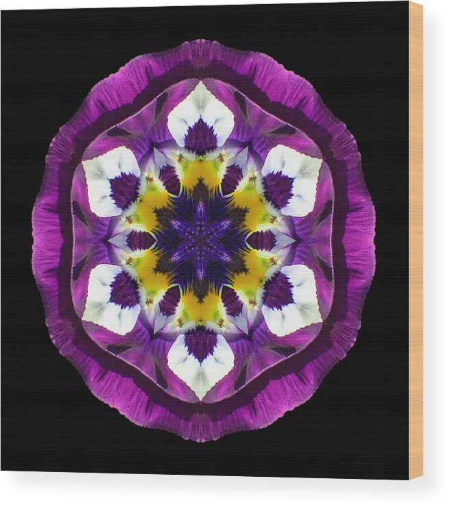 Flower Wood Print featuring the photograph Purple Pansy II Flower Mandala by David J Bookbinder