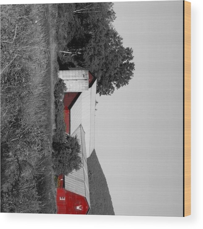 Barn Wood Print featuring the photograph Red Barn by Susan Cram
