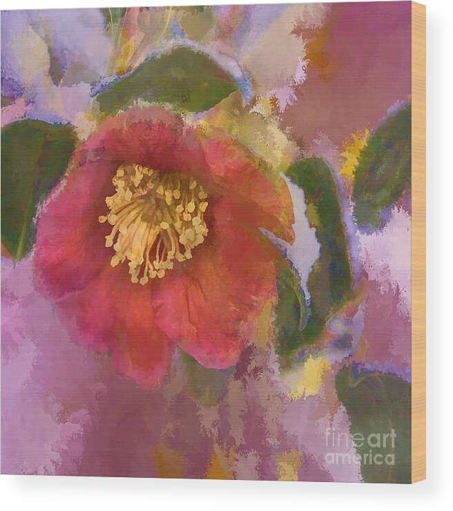 Camelia Wood Print featuring the photograph Red Camelia in a Winter Coat by Terry Rowe