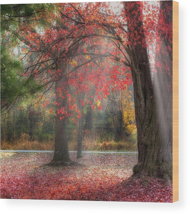 Fog Wood Print featuring the photograph Red Dawn Square by Bill Wakeley