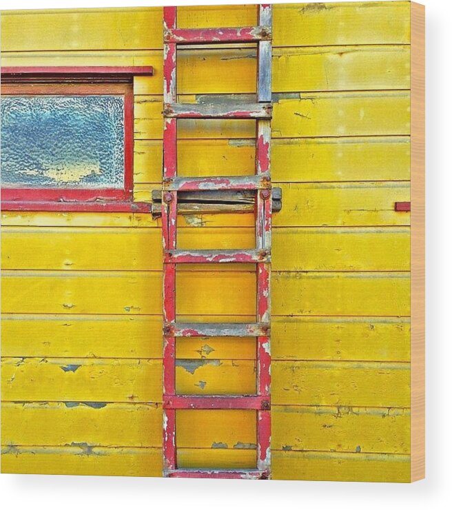 Sanfrancisco Wood Print featuring the photograph Red Ladder by Julie Gebhardt