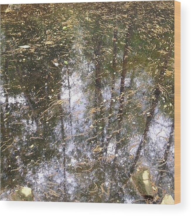 Pollen Wood Print featuring the photograph Reflections… #water #pollen #creek by Whitley Gray