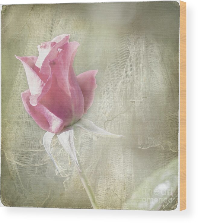 Rose Wood Print featuring the photograph Reminiscing by Linda Lees