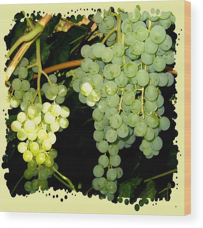 Ripe On The Vine Wood Print featuring the photograph Ripe On The Vine by Will Borden