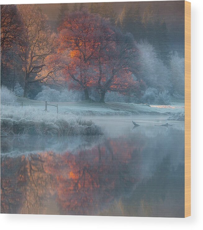 Winter Wood Print featuring the photograph River Brathay by Wolfy