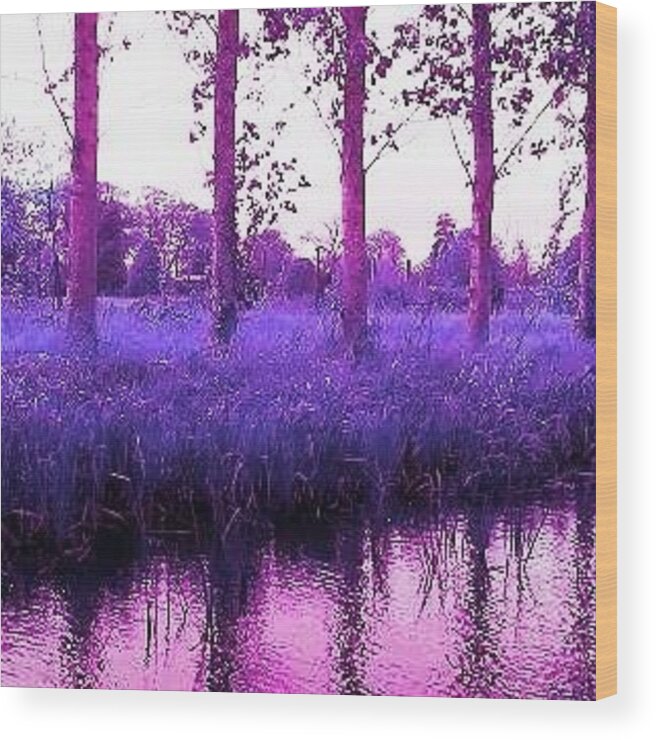 Tree Wood Print featuring the photograph River Trees Purple Edit by Candy Floss Happy