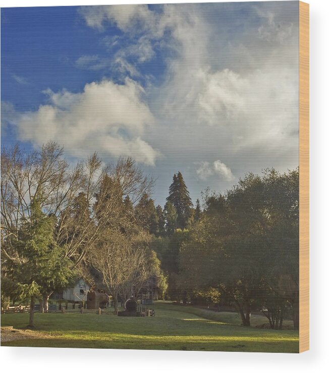 Afternoon Wood Print featuring the photograph Roaring Camp February Afternoon by Larry Darnell