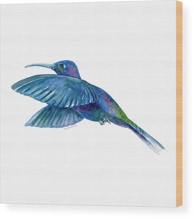 Bird Wood Print featuring the painting Sabrewing Hummingbird by Amy Kirkpatrick