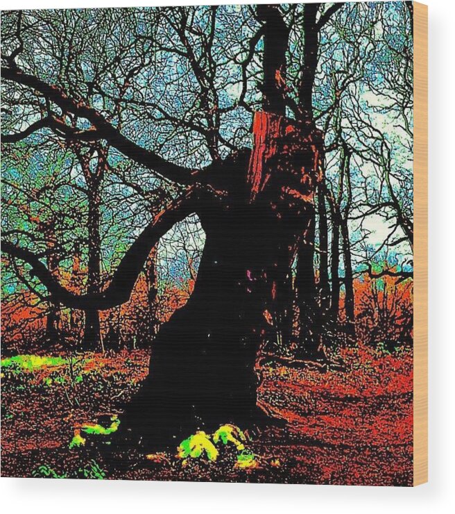 Beautiful Wood Print featuring the photograph Sad Strolling Tree Troll by Urbane Alien