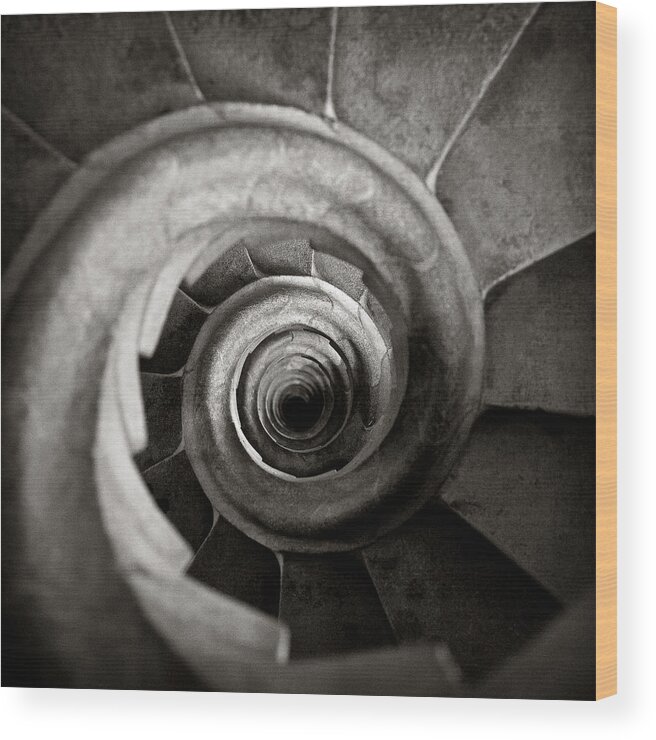 La Sagrada Familia Wood Print featuring the photograph Sagrada Familia Steps by Dave Bowman