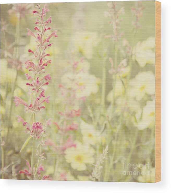 Salvia Wood Print featuring the photograph Salvia Flower 2 by Chris Scroggins