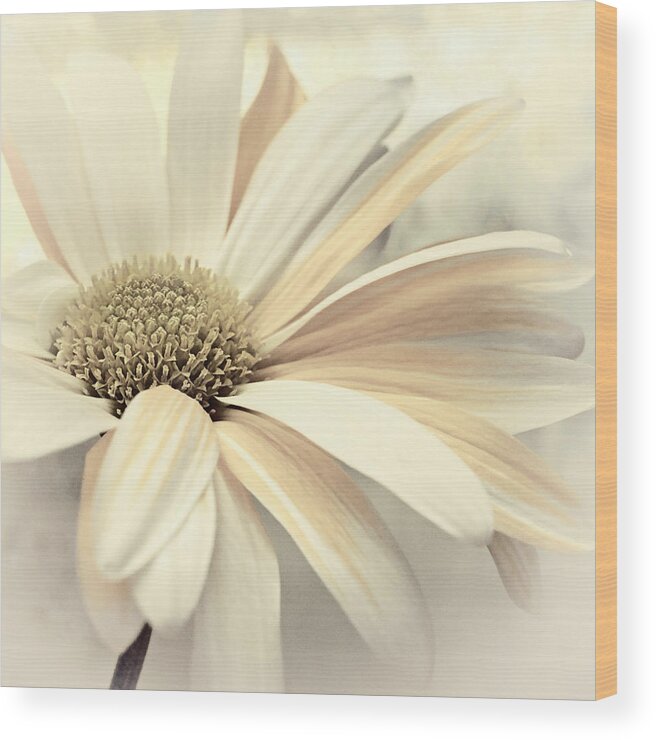 Floral Wood Print featuring the photograph Sandy Shores by Darlene Kwiatkowski