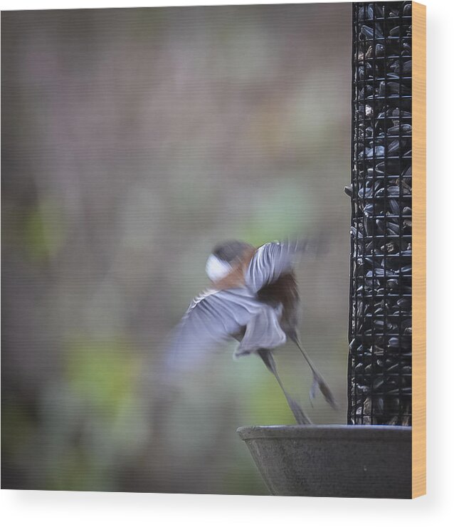 Bird Wood Print featuring the photograph Sated by Ronda Broatch