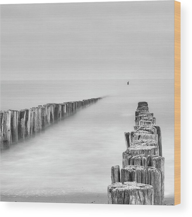 Sea Wood Print featuring the photograph Sea Watcher by Michelle Degryse