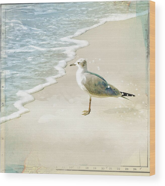 Seagull Wood Print featuring the photograph Marco Island Seagull by Karen Lynch
